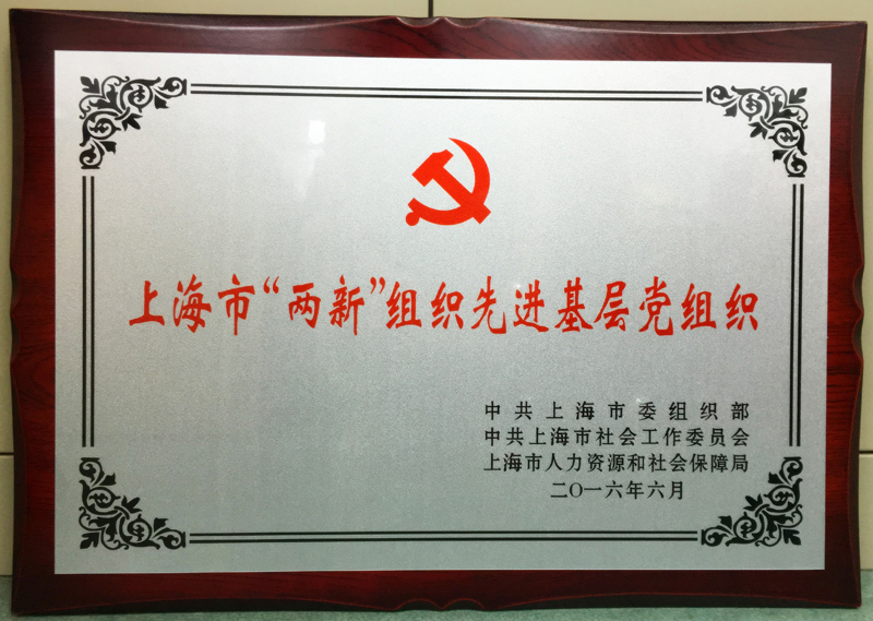 上海市“两新”组织先进基层党组织.jpg